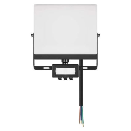 LED-schijnwerper met bewegings- en schemersensor TAMBO EVO LED/30W/230V 4000K IP44 zwart