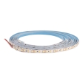 LED Strip DAISY 30m koel wit