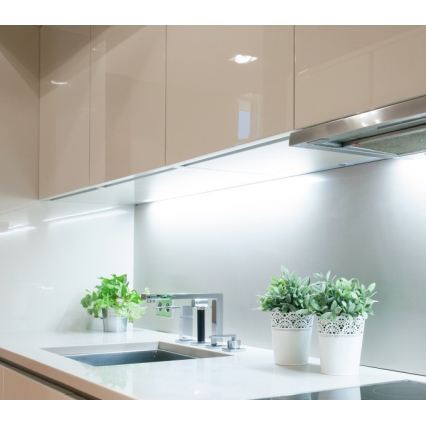 LED-strip TRAMO LED/500W/12V 50m 6500K