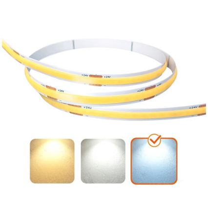 LED strip TRAMO LED/50W/24V 5m 6500K
