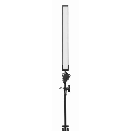 LED Tafellamp met klem LED/10W/230V 2800-6800K