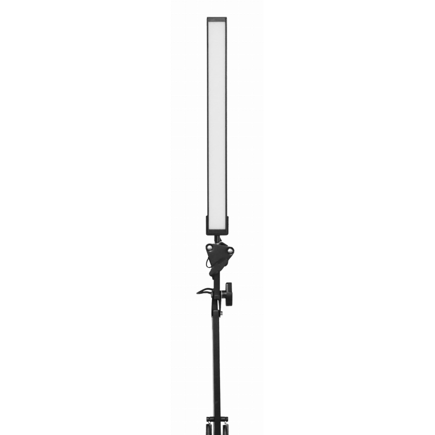 LED Tafellamp met klem LED/10W/230V 2800-6800K