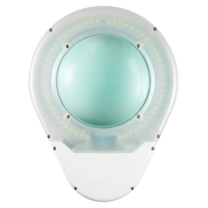 LED Tafellamp met Vergrootglas LED/9W/230V wit