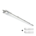 LED technisch TL-armatuur T8 2xG13/18W/230V 6500K IP65 127 cm