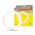 LED TL-buis G10q/11W/230V 3000K - Osram