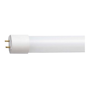 LED TL-buis G13/10W/230V 4000K
