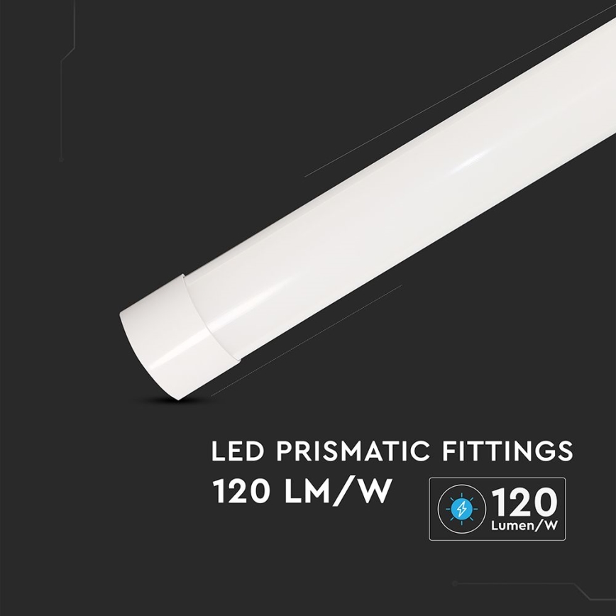 LED TL-buis LED/20W/230V 6500K 60 cm wit