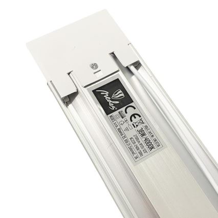 LED TL-buis LED/36W/230V 4000K 120 cm