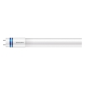 LED TL-buis Philips MASTER T8 G13/14W/80V 6500K 120 cm