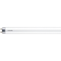 LED TL-buis Philips MASTER T8 G13/6W/110V 4000K 45 cm