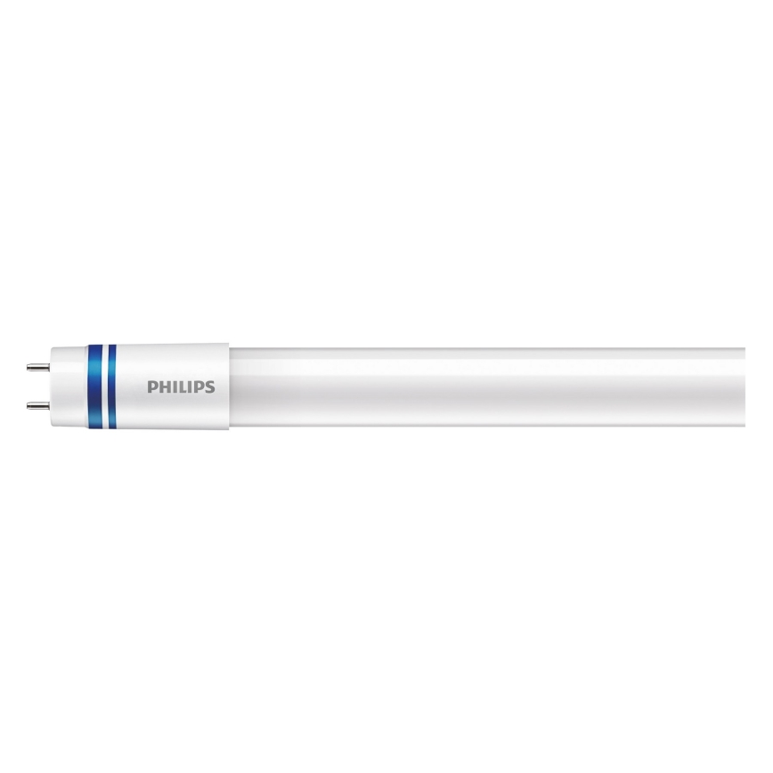 LED TL-buis Philips MASTER T8 G13/8W/50V 6500K 60 cm