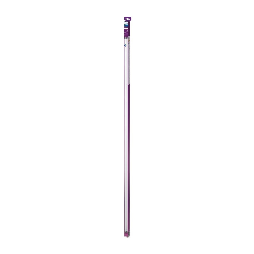 LED TL buis Philips T8 G13/19.5W/230V 3000K 151.3 cm