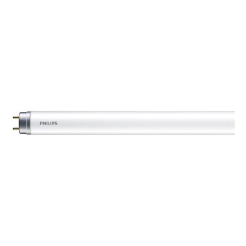 LED TL-buis Philips T8 G13/19,5W/230V 6500K 150 cm