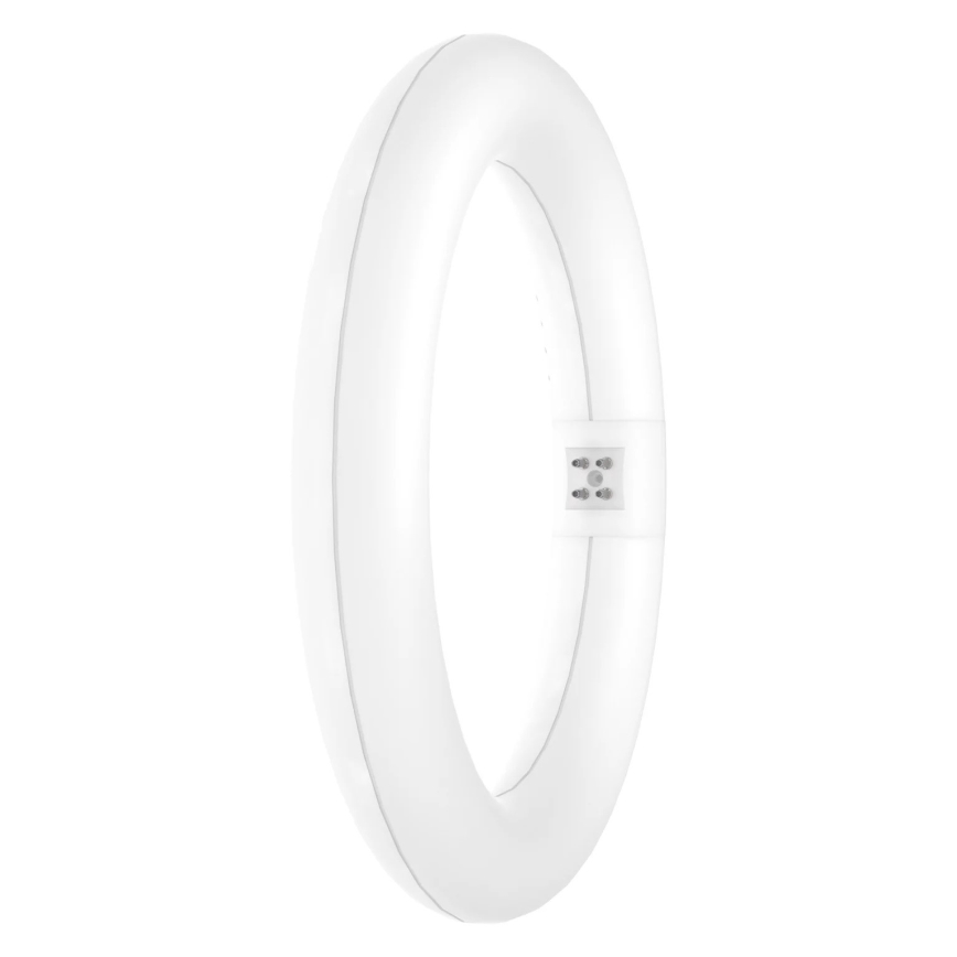 LED TL-buis SUBSTITUBE T9 G10q/12W/230V 4000K diameter 21,2 cm - Osram