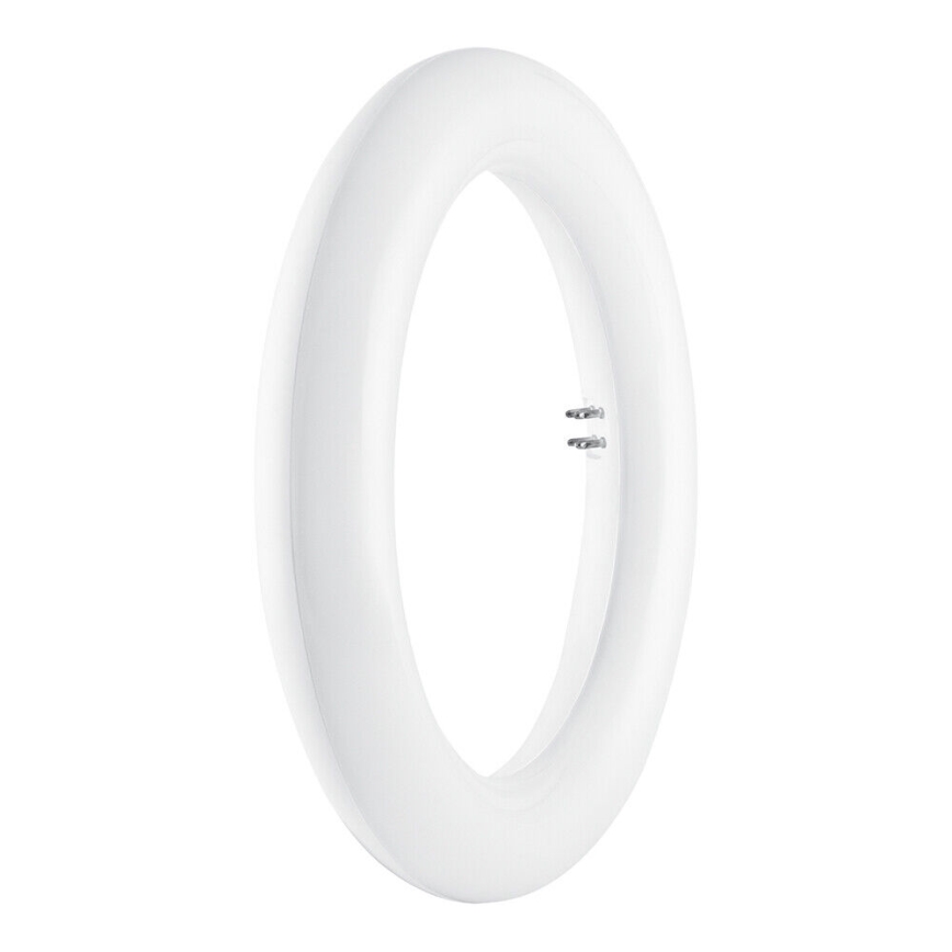 LED TL-buis SUBSTITUBE T9 G10q/12W/230V 6500K diameter 20,5 cm - Osram