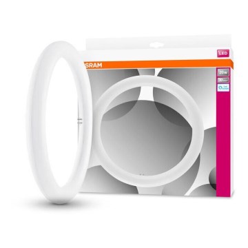 LED TL-buis SUBSTITUBE T9 G10q/20W/230V 6500K diameter 29,8 cm - Osram