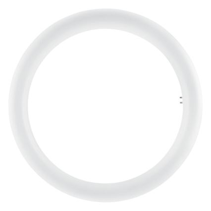 LED TL-buis SUBSTITUBE T9 G10q/20W/230V 6500K diameter 29,8 cm - Osram