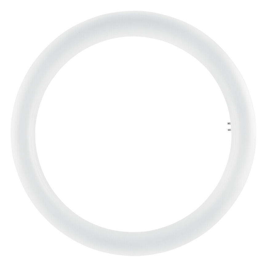 LED TL-buis SUBSTITUBE T9 G10q/20W/230V 6500K diameter 29,8 cm - Osram