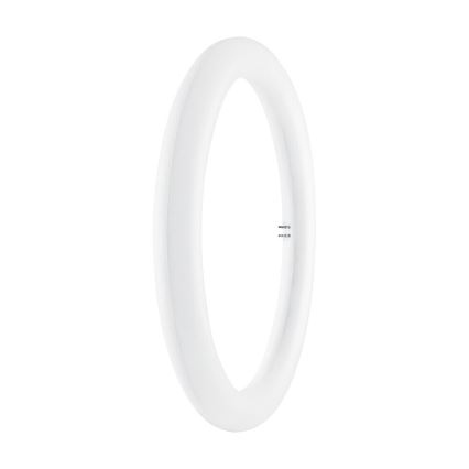 LED TL-buis SUBSTITUBE T9 G10q/20W/230V 6500K diameter 29,8 cm - Osram