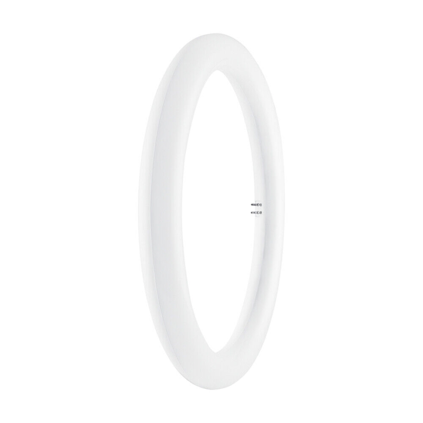 LED TL-buis SUBSTITUBE T9 G10q/20W/230V 6500K diameter 29,8 cm - Osram