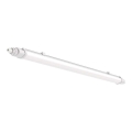 LED TL-buis werkverlichting LED/18W/230V 4000K IP65 60 cm