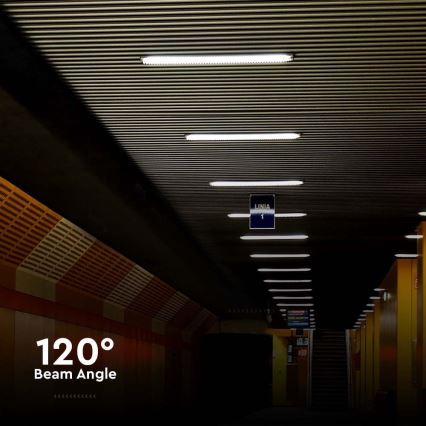 LED TL-buis werkverlichting LED/36W/230V 6500K IP65 120 cm