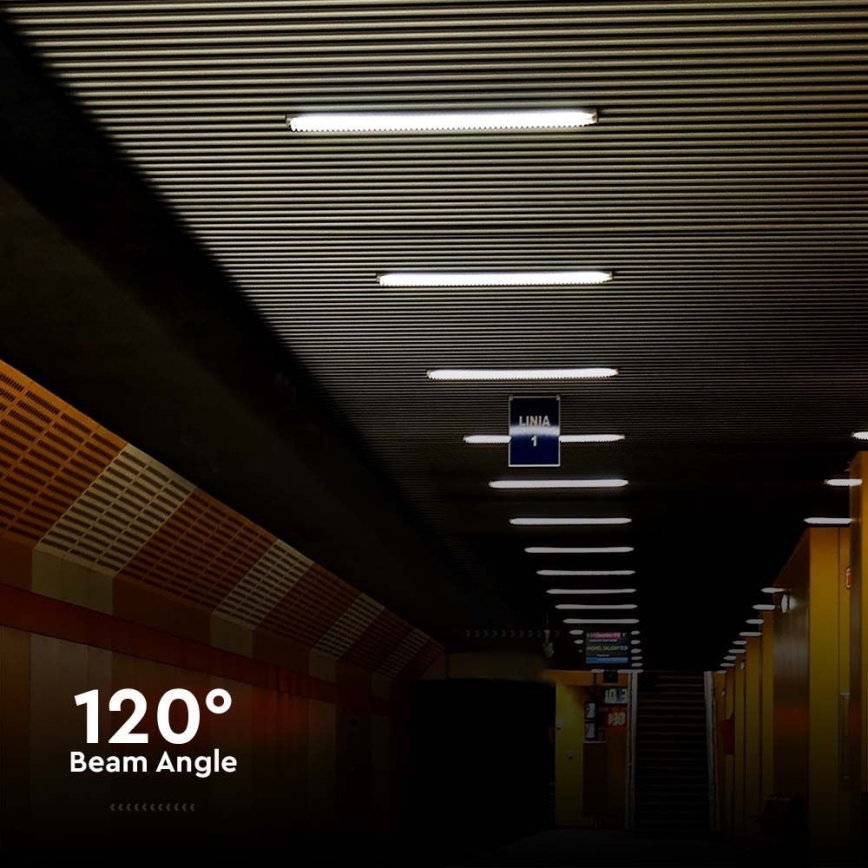 LED TL-buis werkverlichting LED/36W/230V 6500K IP65 120 cm