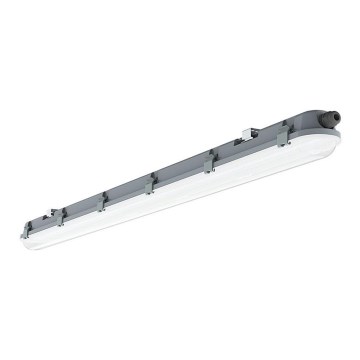 LED TL-buis werkverlichting M-SERIES LED/36W/230V 4000K 120cm IP65