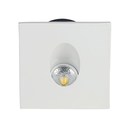 LED Traplicht LED/3W/230V 4000K wit