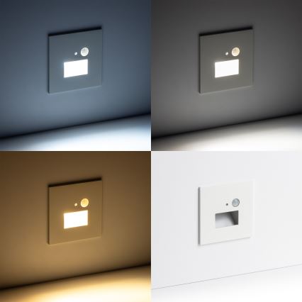 LED-traparmatuur met bewegings- en schemersensor LED/1,5W/230V 3000/4000/6000K wit