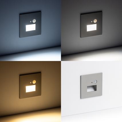 LED Trapverlichting met bewegingssensor LED/1,5W/230V 3000K/4000K/6500K