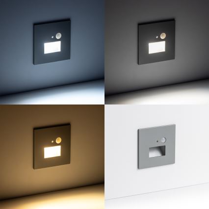 LED Trapverlichting met bewegingssensor LED/1,5W/230V 3000K/4000K/6500K