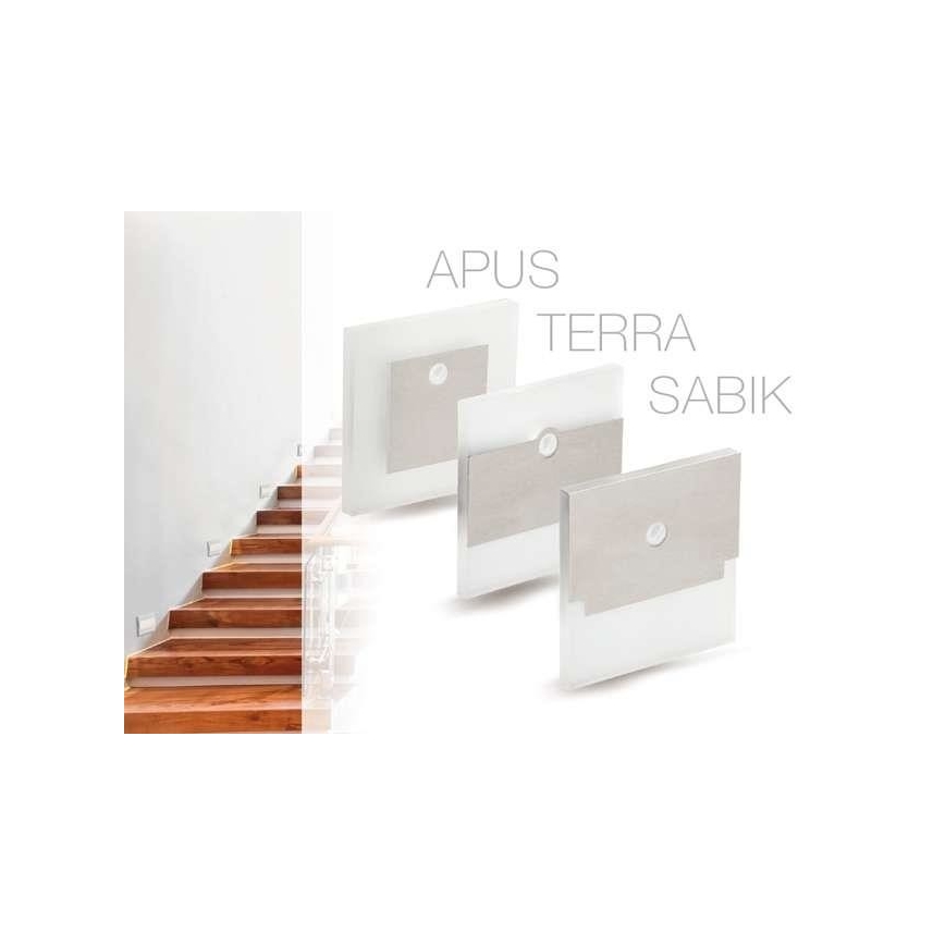 LED Trapverlichting met sensor LED/0,8W/12V 6500K