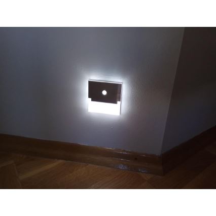 LED Trapverlichting met sensor LED/0,8W/12V 6500K