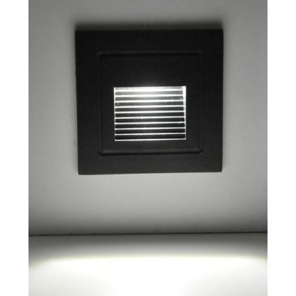 LED Trapverlichting voor Buiten Q6 LED/3W/230V IP44