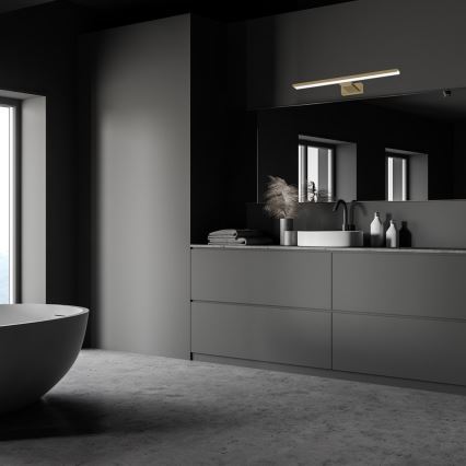 LED-verlichting voor badkamerspiegel SHINE LED/13,8W/230V 60 cm IP44 messing