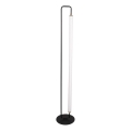 LED vloerlamp FELICJA LED/24W/230V 4000K zwart