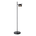 LED vloerlamp OFELIA 1xGX53/6W/230V zwart/rookglas