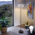 LED vloerlamp TUNJA 1xE27/20W/230V Ø 30 cm zwart/wit