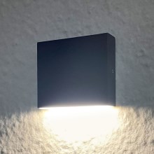LED Wand Lamp voor Buiten CHICAGO LED/3,5W/230V IP44 zwart