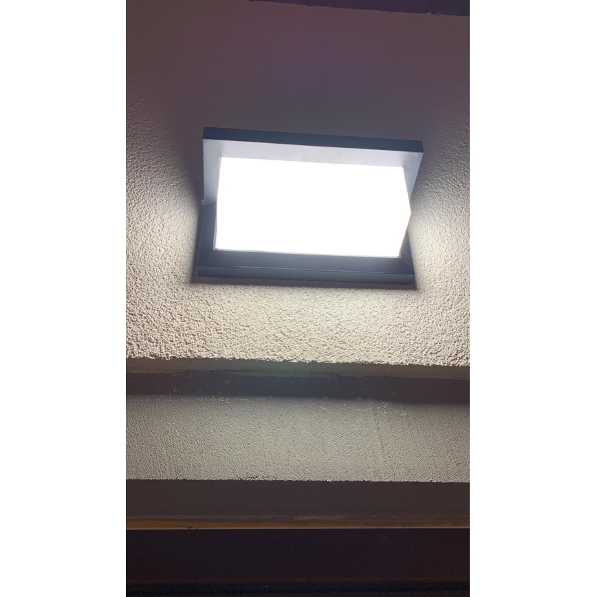 LED Wand Lamp voor Buiten LED/12W/230V IP54 zwart
