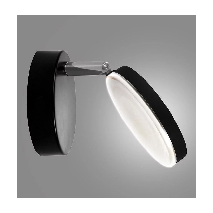LED Wand Spot CAPRI LED/5W/230V