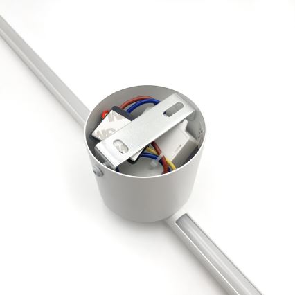 LED wand verlichting LANA LED/12W/230V 4000K wit