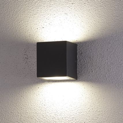 LED Wandlamp voor buiten 2xLED/5W/230V 4000K IP54 zwart
