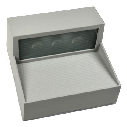 LED Wandlamp voor buiten CARRI LED/3W/230V IP54
