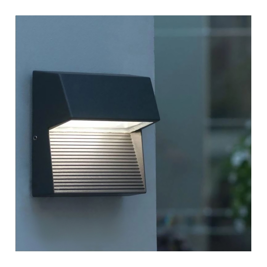 LED Wandlamp voor buiten CARRI LED/3W/230V IP54