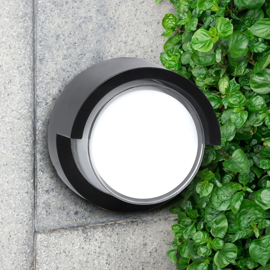 LED Wandlamp voor buiten ESSEN LED/10W/230V IP44 zwart