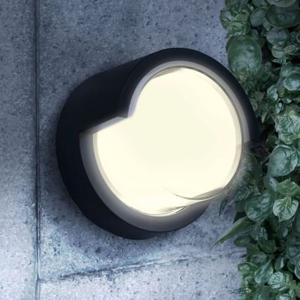 LED Wandlamp voor buiten ESSEN LED/10W/230V IP44 zwart