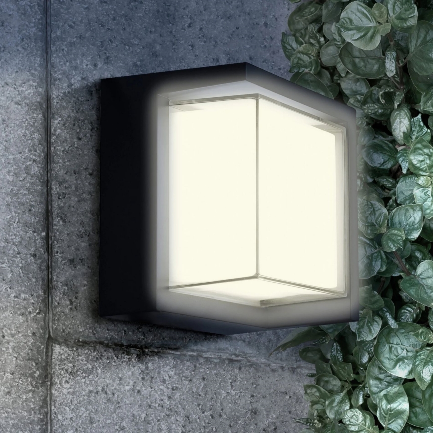 LED Wandlamp voor buiten ESSEN LED/12W/230V IP44 zwart