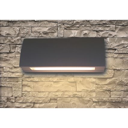 LED Wandlamp voor buiten LED/10W/230V IP54